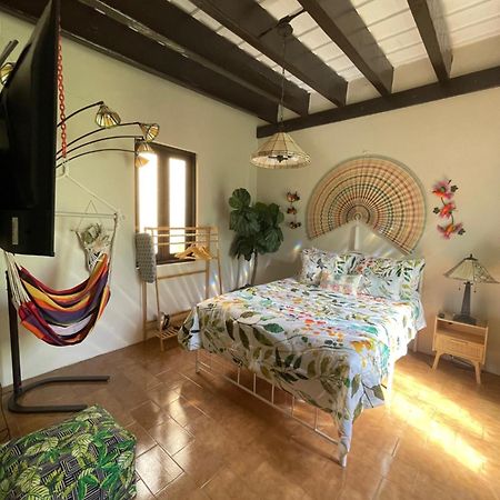 The Garden Apartment, The Willow Apartment, & The Tropical Apartment At Casa Of Essence In Old サンジョアン エクステリア 写真