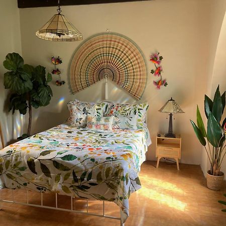 The Garden Apartment, The Willow Apartment, & The Tropical Apartment At Casa Of Essence In Old サンジョアン エクステリア 写真