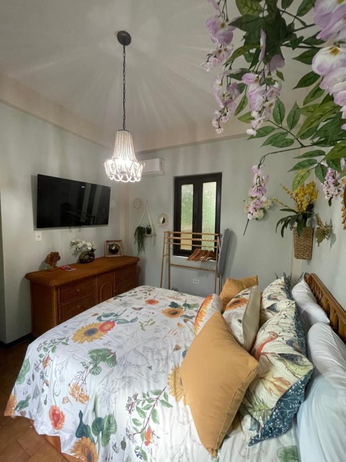 The Garden Apartment, The Willow Apartment, & The Tropical Apartment At Casa Of Essence In Old サンジョアン エクステリア 写真