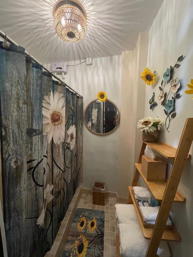 The Garden Apartment, The Willow Apartment, & The Tropical Apartment At Casa Of Essence In Old サンジョアン エクステリア 写真