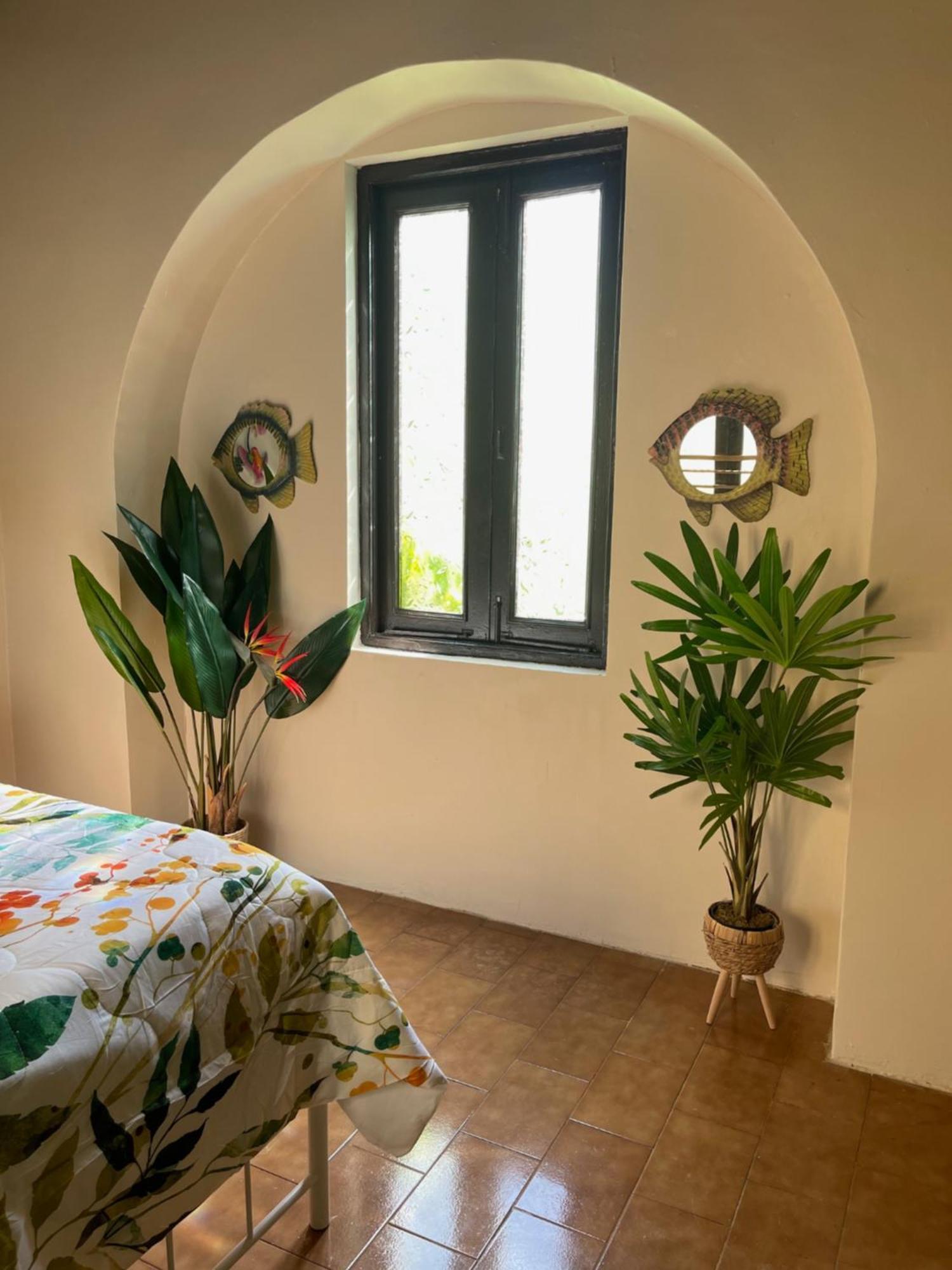 The Garden Apartment, The Willow Apartment, & The Tropical Apartment At Casa Of Essence In Old サンジョアン エクステリア 写真