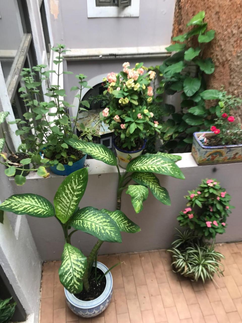 The Garden Apartment, The Willow Apartment, & The Tropical Apartment At Casa Of Essence In Old サンジョアン エクステリア 写真